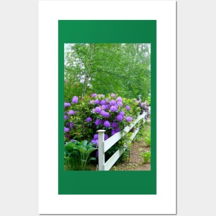 The Cottage Fence Posters and Art